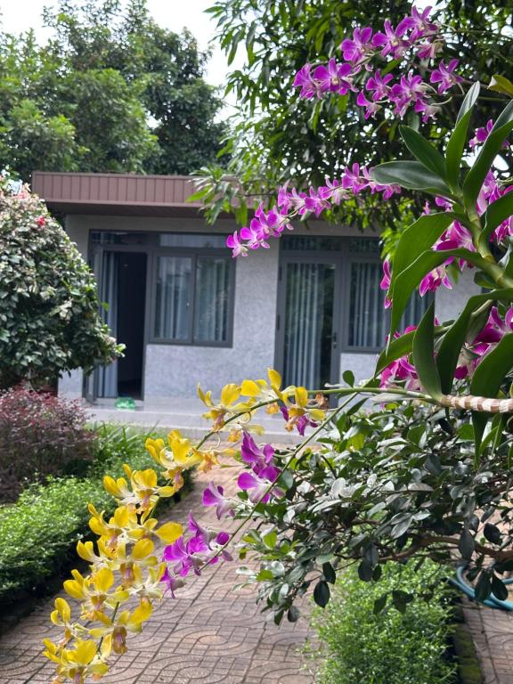 Gallery image of Homestay Buôn Mê 1 in Buôn Ðũng