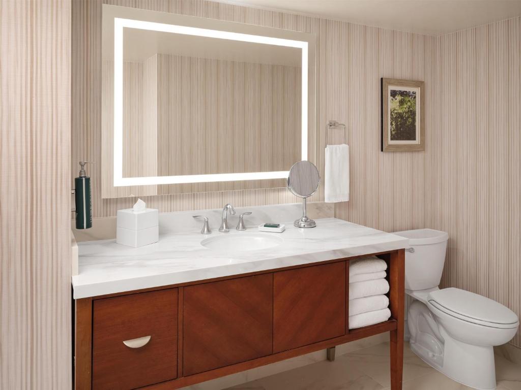 Hilton Washington DC/Rockville Hotel & Executive Meeting Center photo