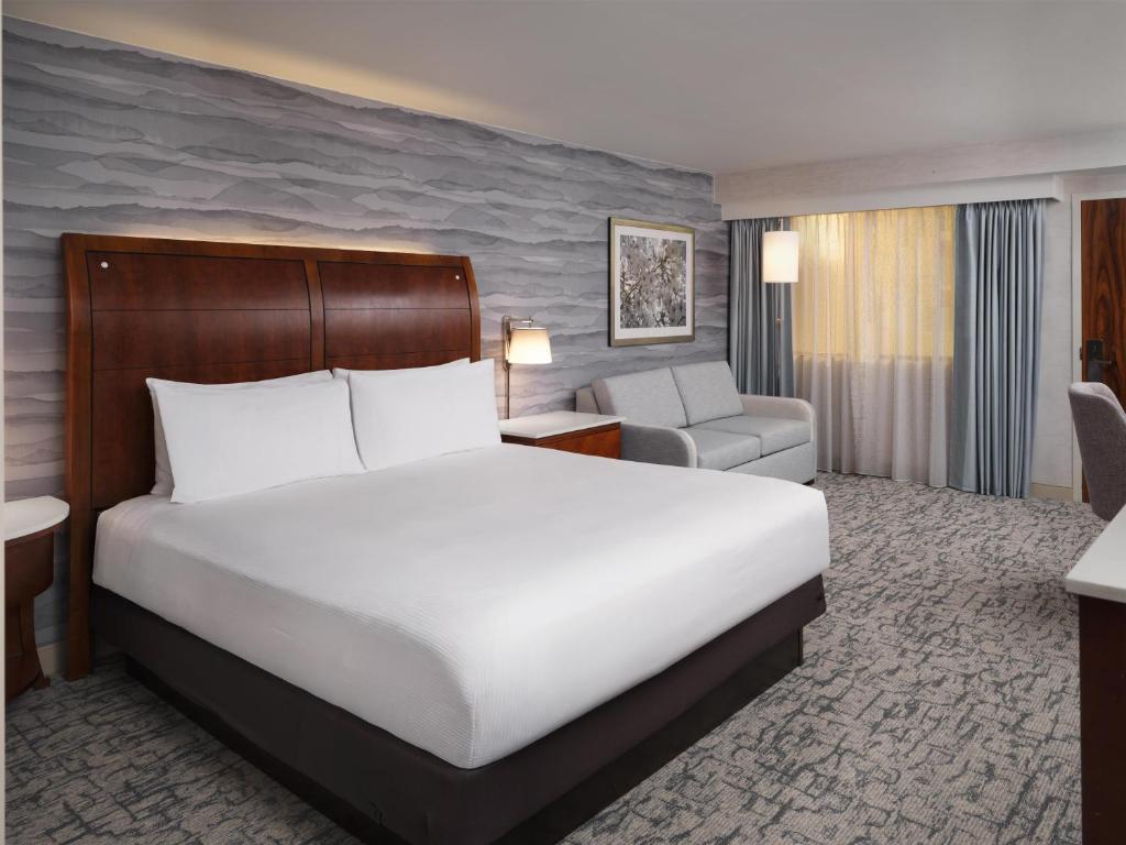 Hilton Washington DC/Rockville Hotel & Executive Meeting Center - 特大号床间