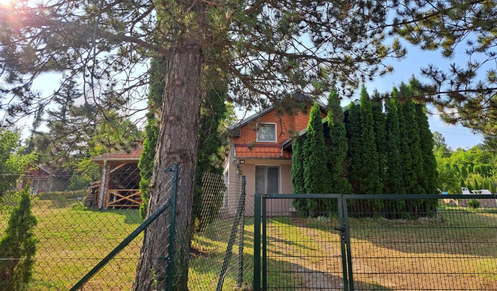 O grădină în afara Vila Dolina Mira pored Jerme
