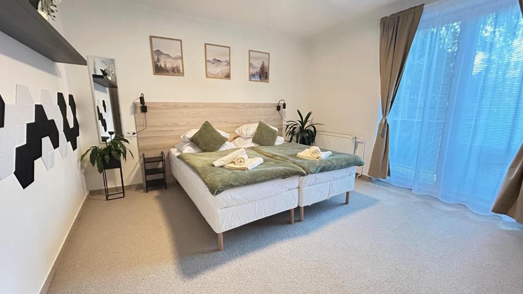 Hotel Sport Houštka : غرفة نوم بها سرير ونافذة كبيرة