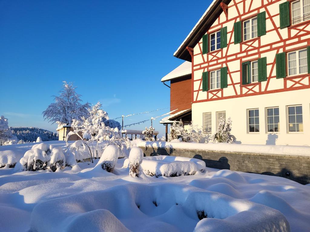 a snow covered yard in front of a building at Gasthof Sunnebad in Sternenberg
