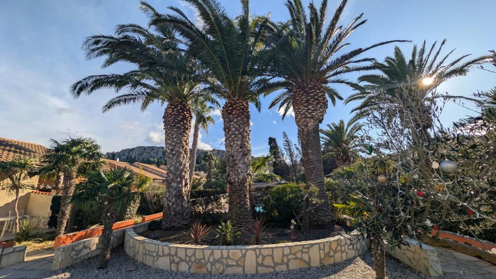 un grupo de palmeras en un jardín en Gite la Capelle Roquefort des Corbières Sigean Narbonne Aude, en Roquefort-des-Corbières