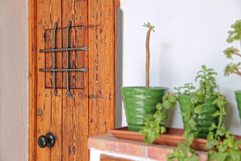 a wooden door with two potted plants on a table at Multi Apartamentos La Kasbah in Jerez de la Frontera