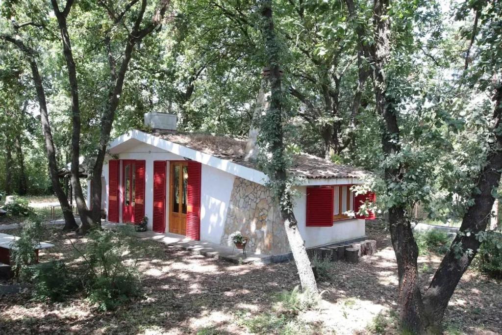 Κήπος έξω από το Charming Chalet with Terrace in Lavinaio – 32 m²