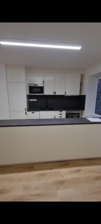 Kuchyň nebo kuchyňský kout v ubytování Apartmány Loučky