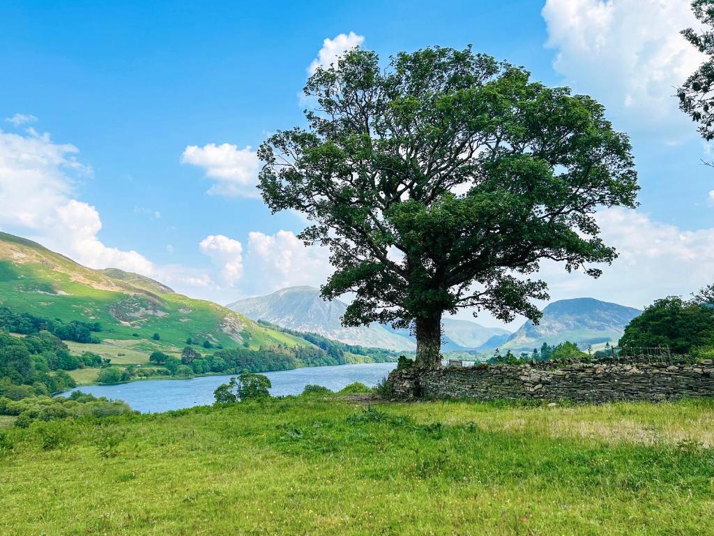 Naturlandskabet i nærheden af feriehuset