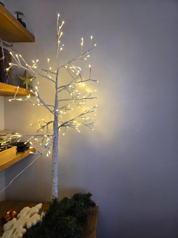 Un árbol con luces en una habitación en B&B HOTEL Rodez Bourran, en Rodez