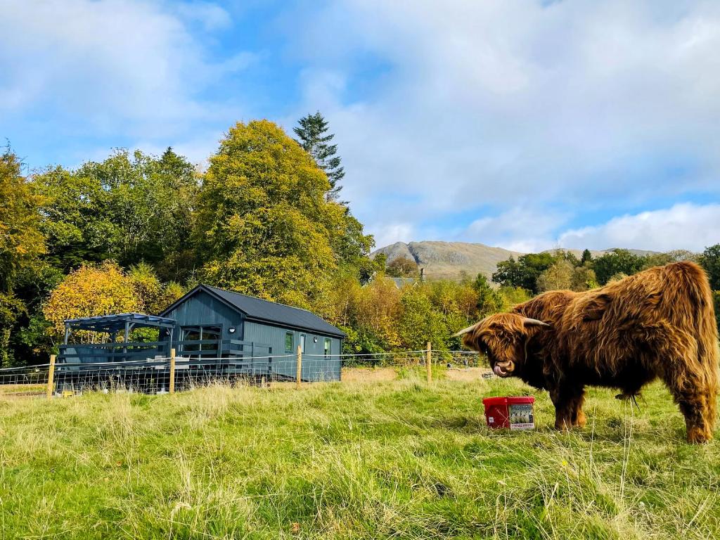 Άλλα ζώα σε αυτή η παραθεριστική κατοικία ή στη γύρω περιοχή