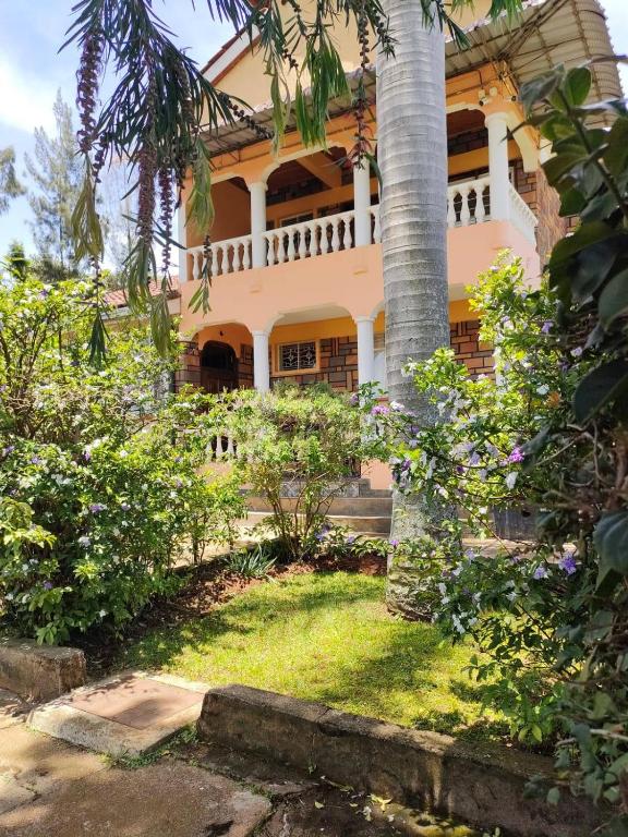 Κήπος έξω από το Zack's Serene House