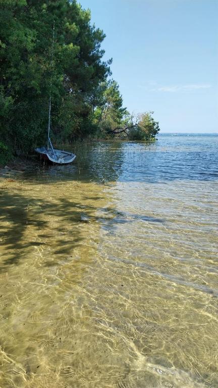 een boot op de oever van een waterlichaam bij Julieregis in Biscarrosse