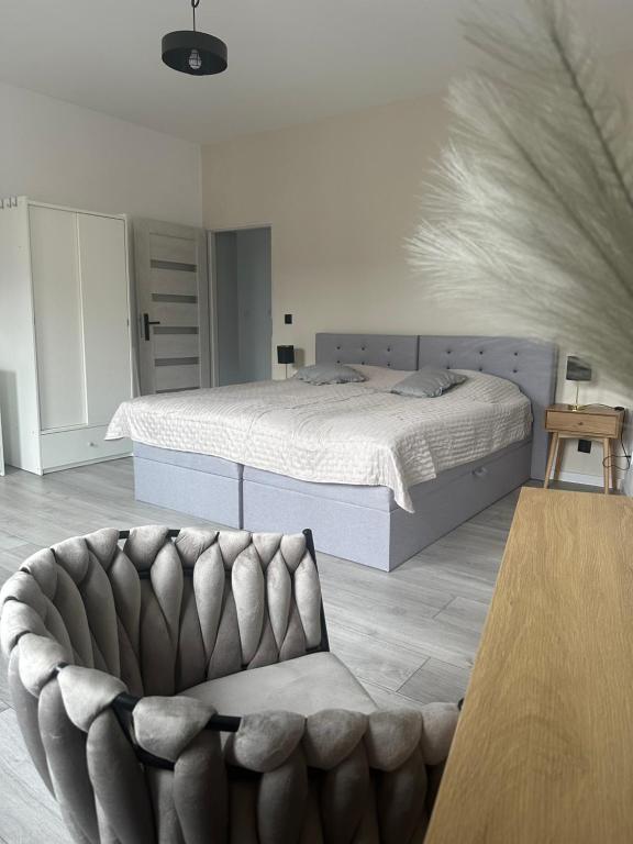 Guben Wohnungen nett في غوين: غرفة نوم بسرير وكرسي وأريكة