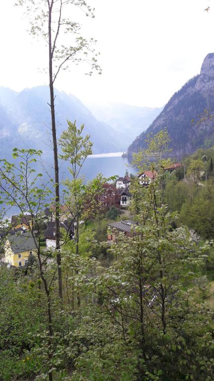 a view of a lake from a hill with trees at Am Baalstein in Traunkirchen