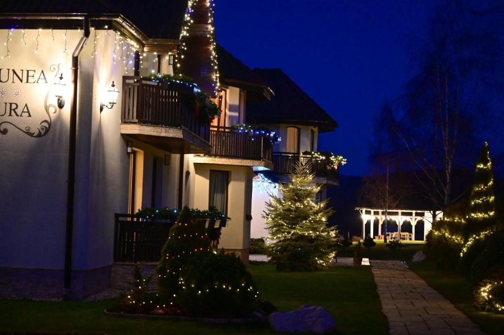 a house decorated with christmas lights and a christmas tree at Natura Family Resort in Avrig