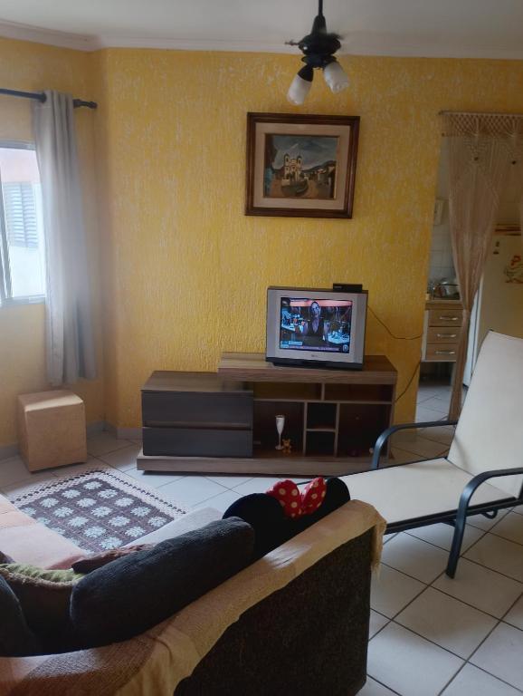 a living room with a couch and a tv at Apartamento Recanto dos pássaros in Peruíbe