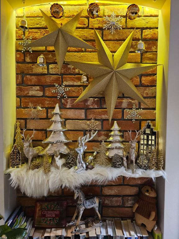 Altara Apartamenty Centrum - Free Parking - 12