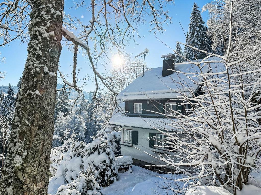 een huis bedekt met sneeuw in het bos bij Holiday Home Kesslerberg by Interhome in Hinterzarten