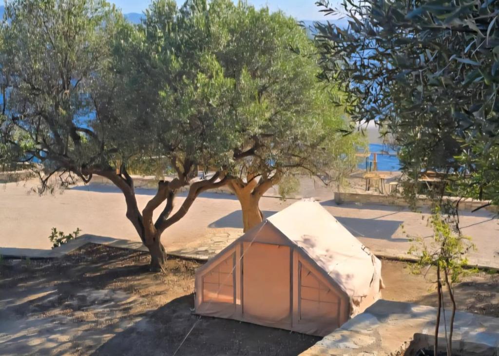 a tent under a tree next to a beach at Cimarte The Path Lukove in Lukovë