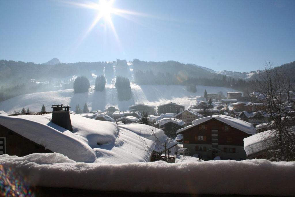 Chalet Telemark 2 Les Gets - by PAJ