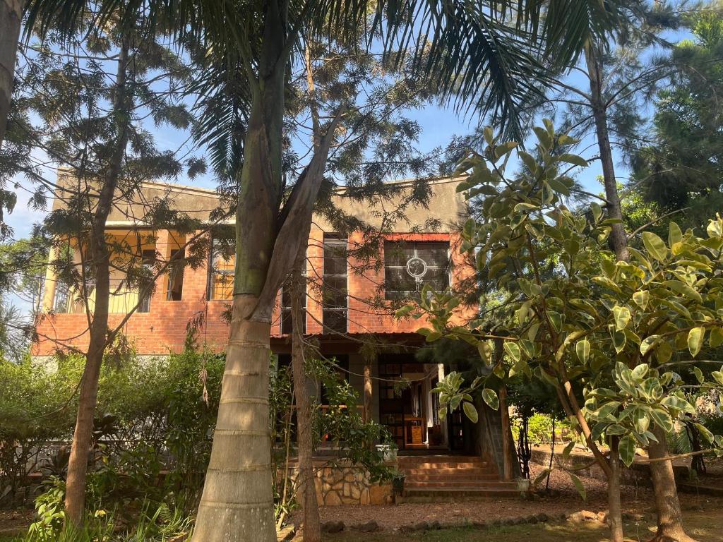 Κήπος έξω από το The Nile Silver Moon