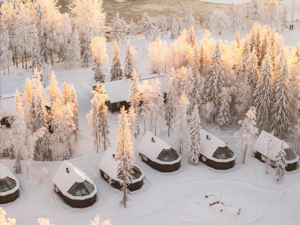 a group of tents in the snow with trees at Vaattunki Wilderness Resort in Rovaniemi