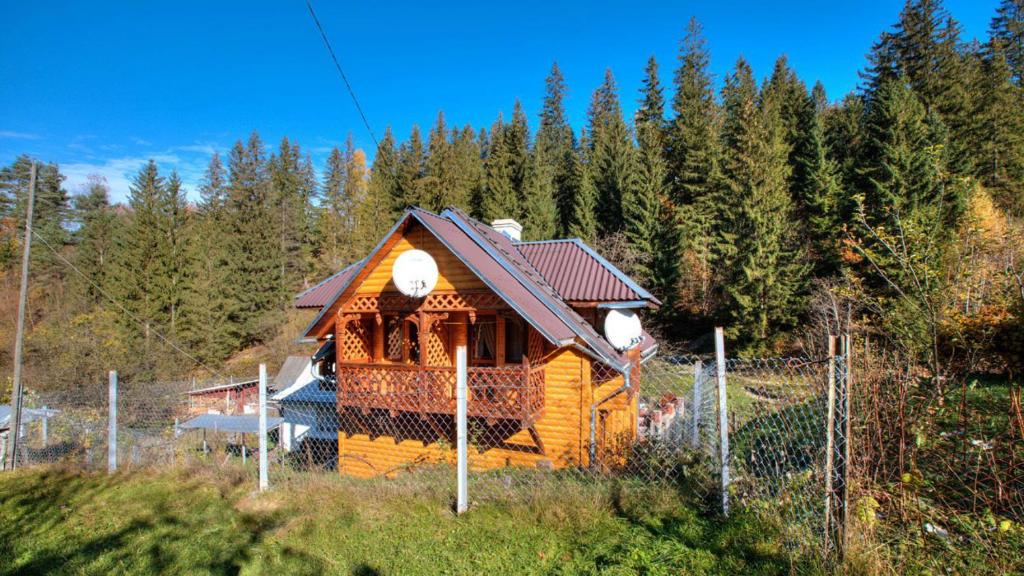 eine Holzhütte inmitten eines Waldes in der Unterkunft Sadyba Karpaty in Mykulytschyn