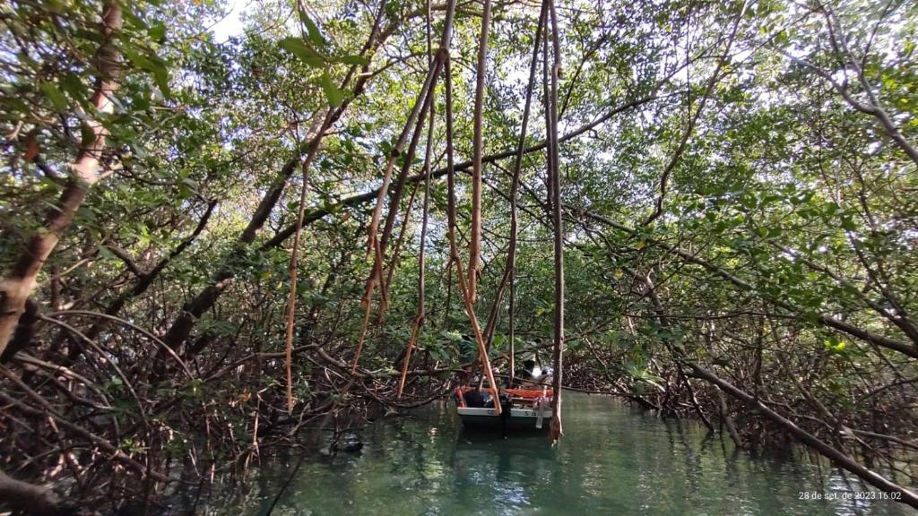 um barco no meio de um rio com árvores em camping do point lá na barra em Amontada