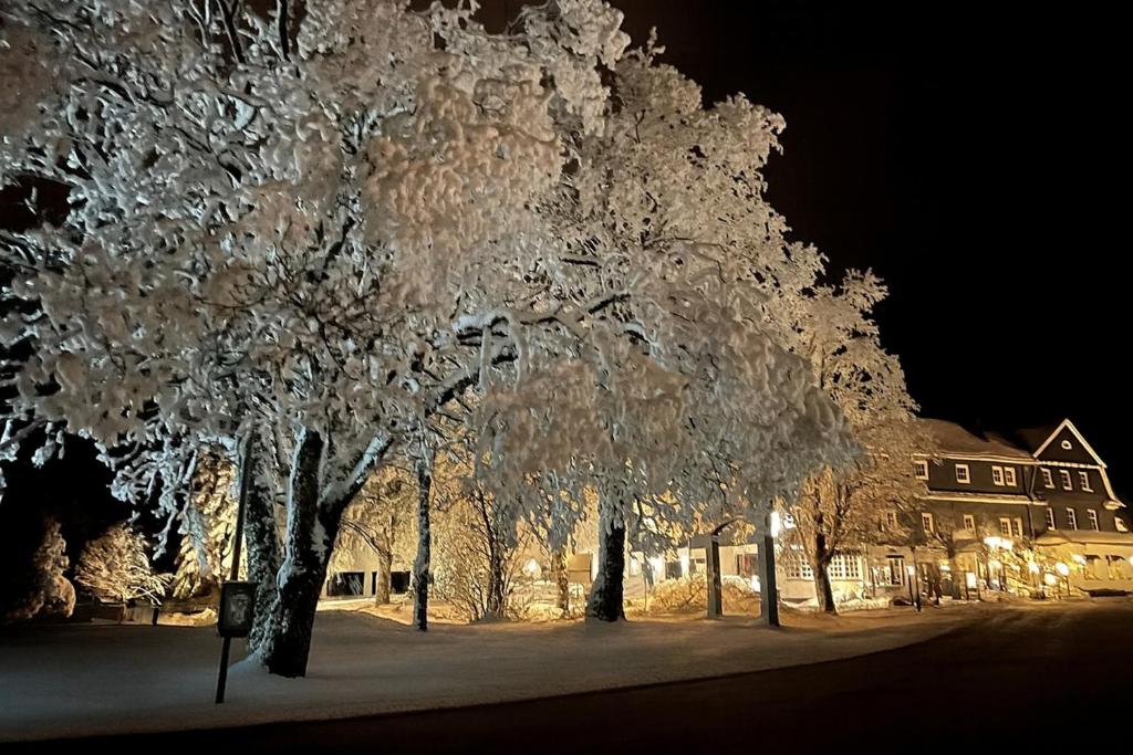 Fotografie z fotogalerie ubytování Hotel Altastenberg v destinaci Winterberg
