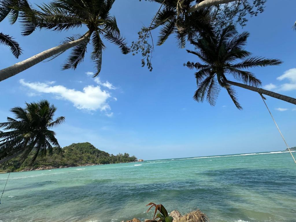 - une vue sur une plage bordée de palmiers dans l'établissement Beach front villa, à Mae Haad