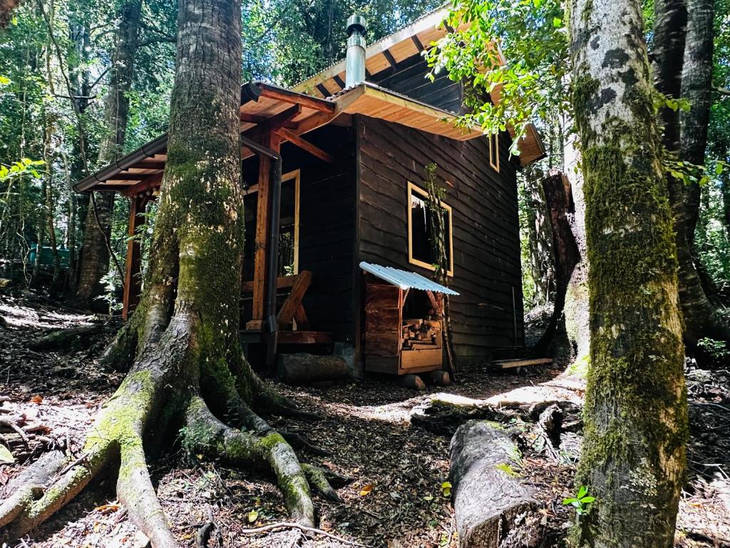 Phong cảnh thiên nhiên gần nhà nghỉ dưỡng