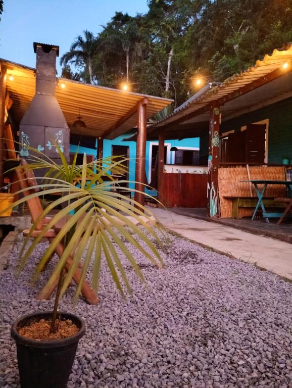 Praia de ItamambucaにあるMacondo Hostel Itamambucaの家の前の鉢植えのヤシの木