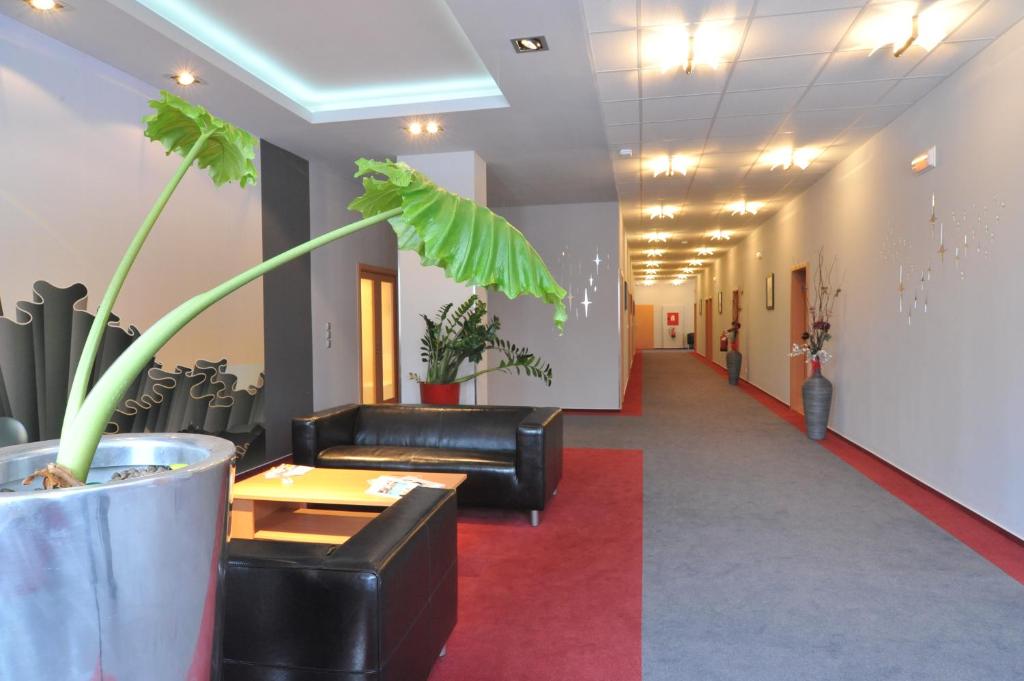 Fotografie z fotogalerie ubytování Pension Milk Inn v Praze