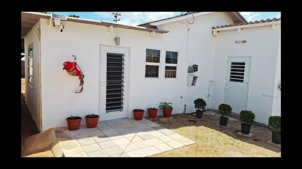 a white house with potted plants in front of it at Cozy One-person Studio in Willemstad