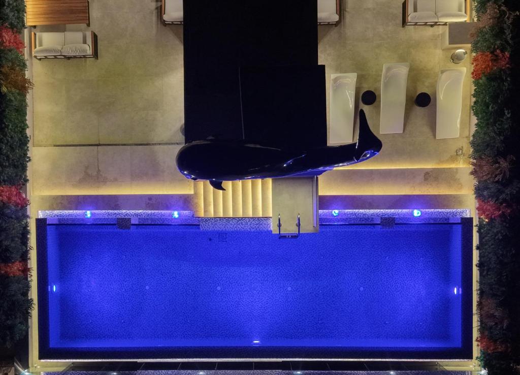 Φωτογραφία από το άλμπουμ του Solana sky pool boutique hotel - Adults only σε New cairo