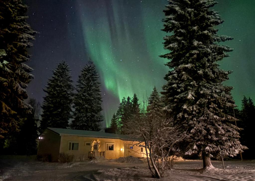 Naturlandskabet i nærheden af lejligheden