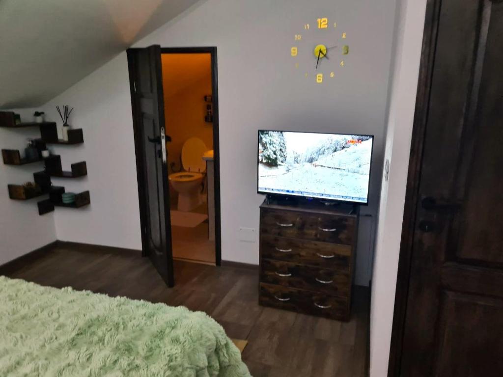 una camera da letto con TV a schermo piatto su un comò di Vila Sebas a Zărneşti