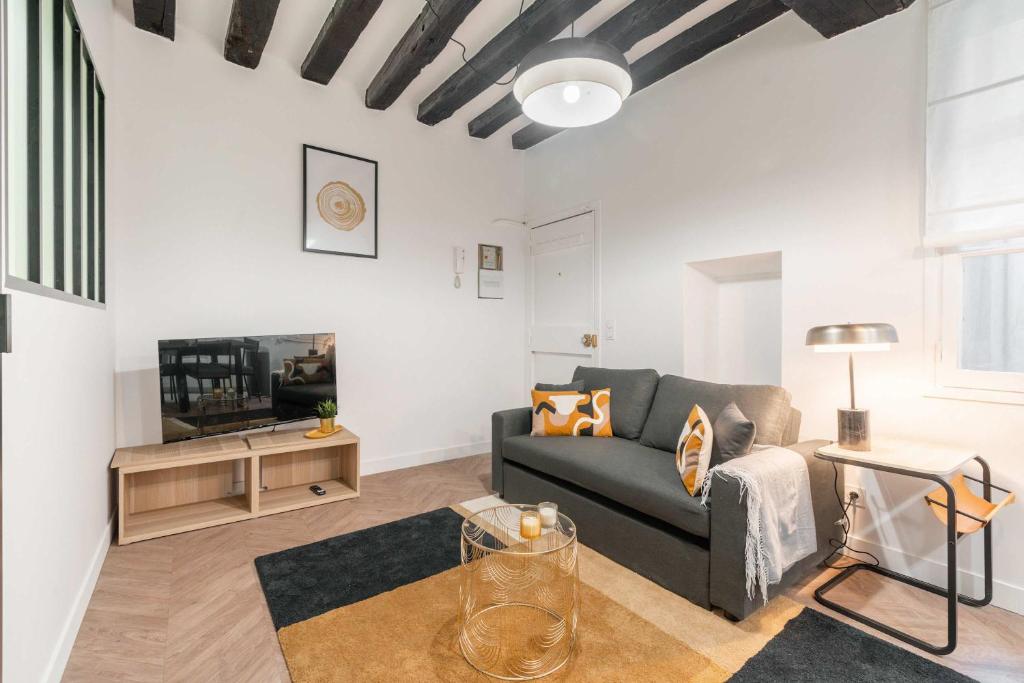 a living room with a couch and a tv at Charmante Suite - LSP le Marais in Paris