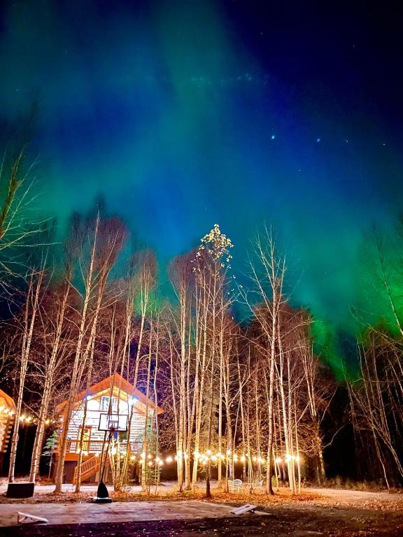 a group of trees at night with green lights at Riverfront, Authentic, Luxury Log Cabin-Bull Moose in Wasilla