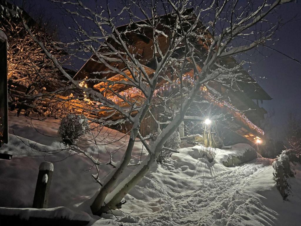 Το DAS Alpbach τον χειμώνα