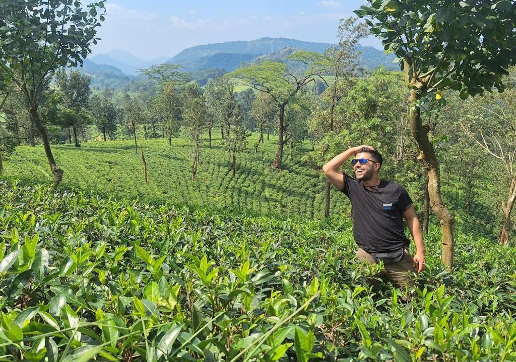 Heritage Haven في كاندي: رجل يقف في ميدان مزارع الشاي