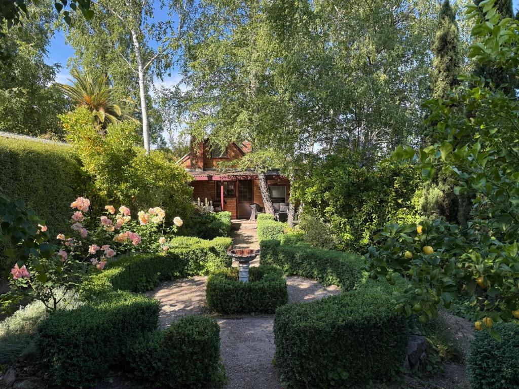 a garden with bushes and trees and a house at Gladstone House in Beechworth