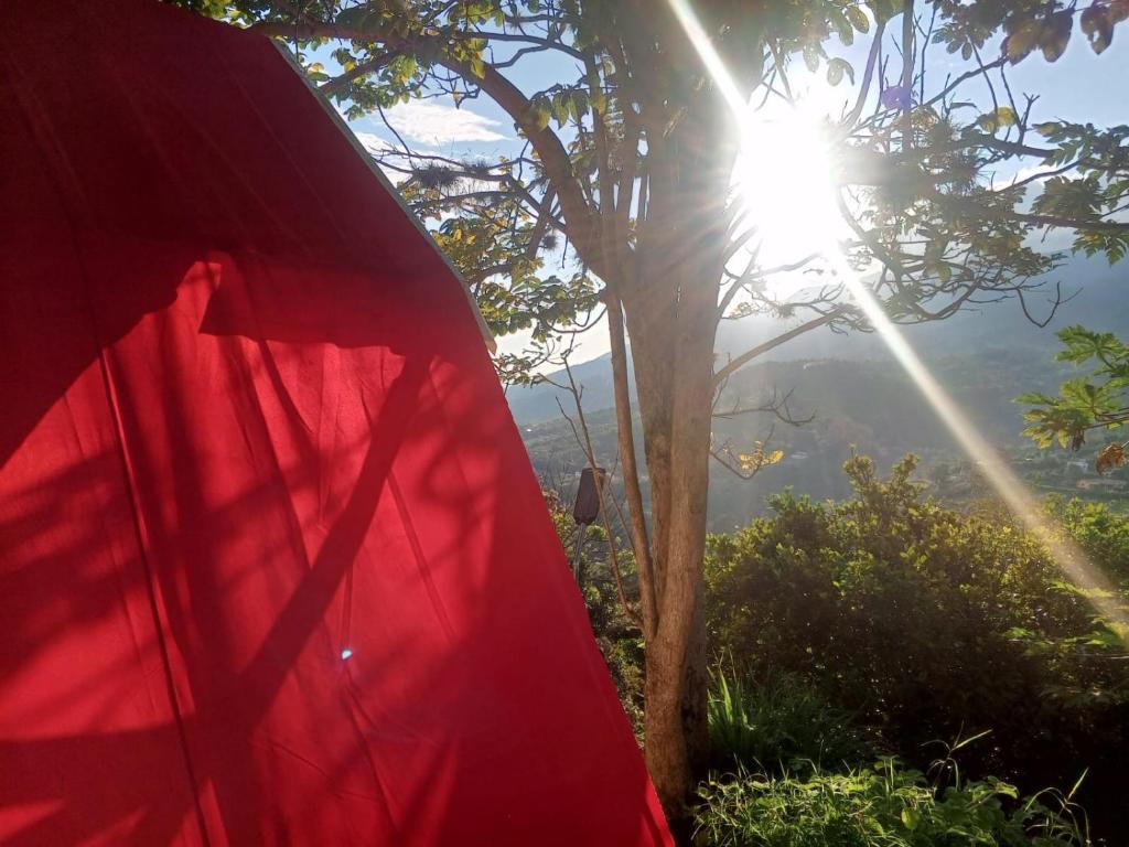 Un paisaje natural cerca del camping