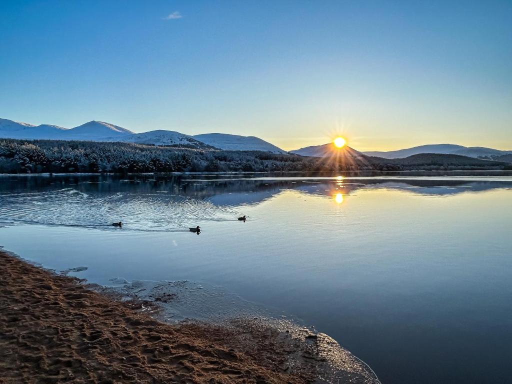 Naturlandskabet i nærheden af feriehuset