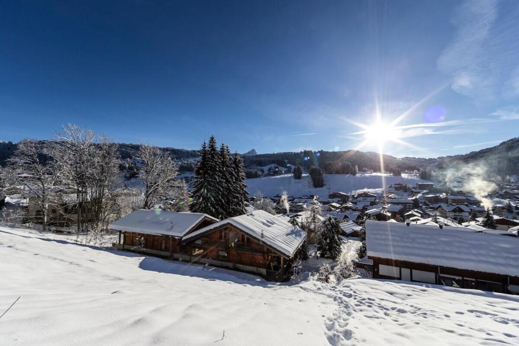 Chalet Ysope Les Gets - by PAJ om vinteren