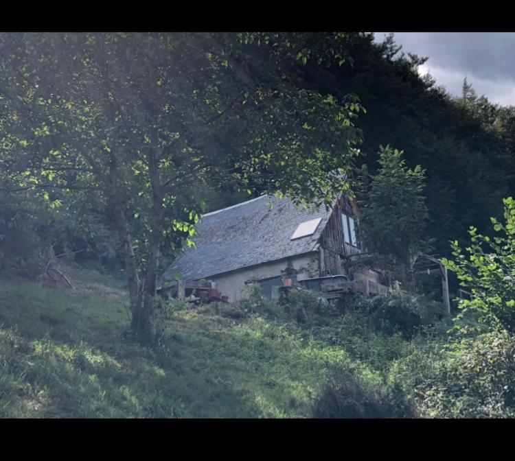 Φωτογραφία από το άλμπουμ του Une nuit en CABANE dans la Forêt σε Bordères-Louron