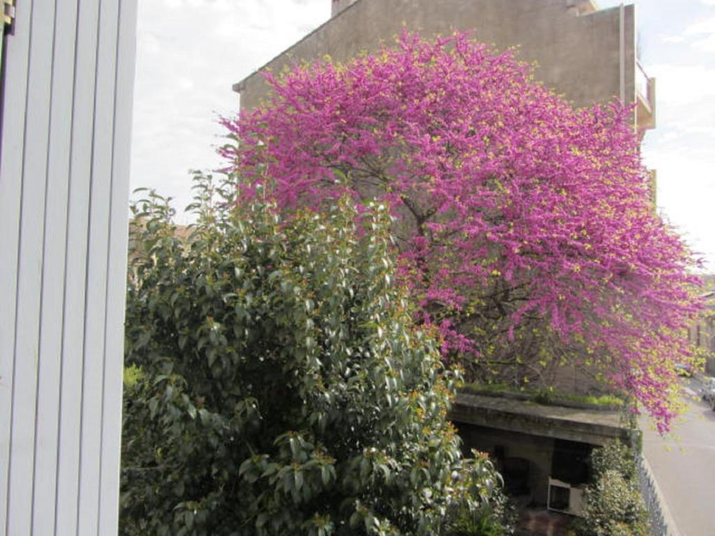 Aude Cité-City - 12