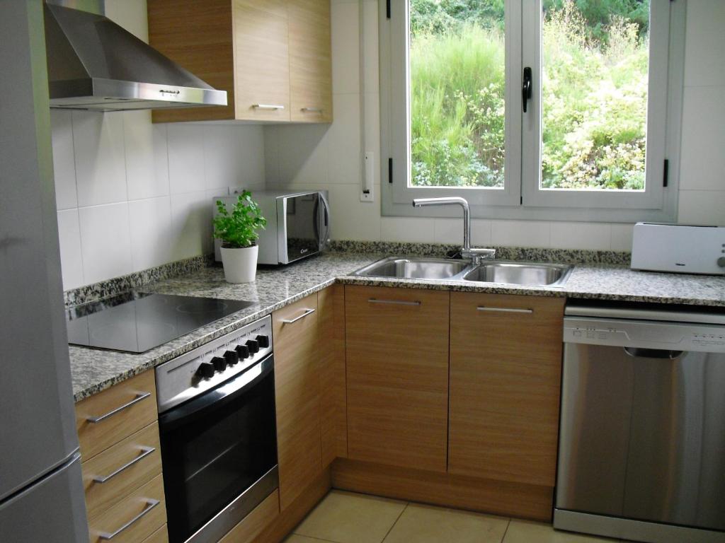 uma cozinha com um lavatório e um fogão forno superior em Apartament Volcà Garrinada em Olot