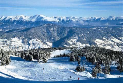 Woody Park Chalet 14 v zime
