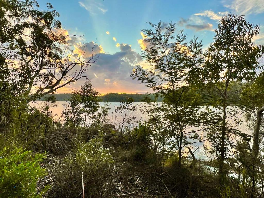 ManyanaにあるLakeview at Berringerの木々の水の風景