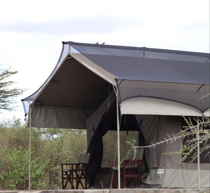 Φωτογραφία από το άλμπουμ του Oloiba Nkuti Lodge σε Masai Mara